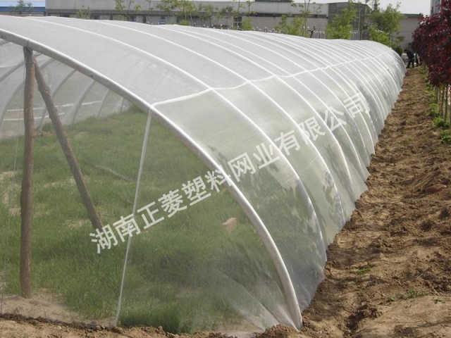 河北石家莊訂購(gòu)草藥防蟲(chóng)網(wǎng)案例