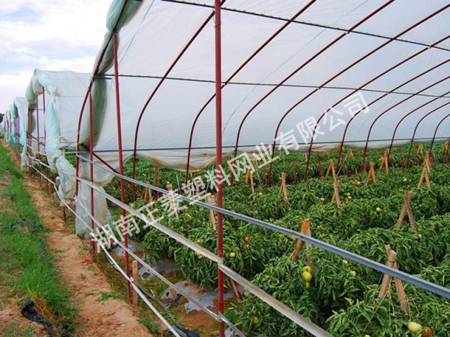 湖南岳陽(yáng)華容縣蔬菜種植基地訂購(gòu)防蟲(chóng)網(wǎng)案例